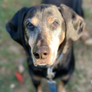 Meet your Posher, Meredith